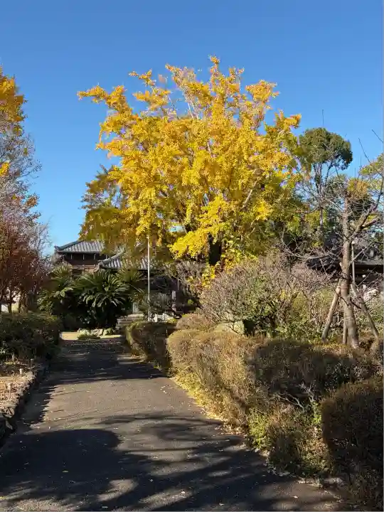 宝泉寺(宮崎県)