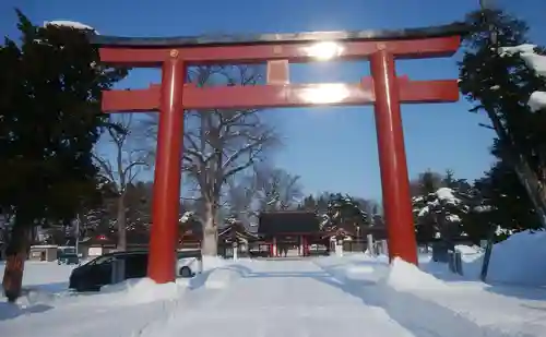 北海道護國神社の鳥居