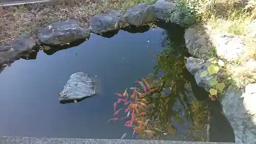 築地本願寺 和田堀廟所の庭園