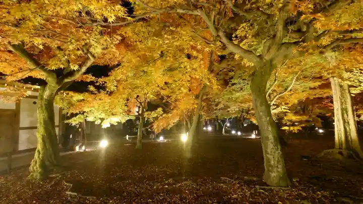 東福禅寺(東福寺)の{uncategorized: "未分類", other: "その他", undefined: "問題あり", building: "その他建物", grave: "お墓", sacred_gate: "鳥居", guardian: "狛犬", statue: "像", buddha: "仏像", history: "歴史", nature: "自然", garden: "庭園", animal: "動物", pagoda: "塔", temizu: "手水舎", mountain_gate: "山門・神門", sanctuary: "本殿・本堂", subordinate: "末社・摂社", art: "芸術", scenery: "景色", jizo: "地蔵", ema: "絵馬", goshuin: "御朱印", omikuji: "おみくじ", items: "授与品その他", amulet: "お守り", goshuincho: "御朱印帳", eats: "食事", festival: "お祭り", votive_dance: "神楽", shichigosan: "七五三参", wedding: "結婚式", experience: "体験その他", initially: "初詣", around: "周辺", anti_infection: "感染症対策"}