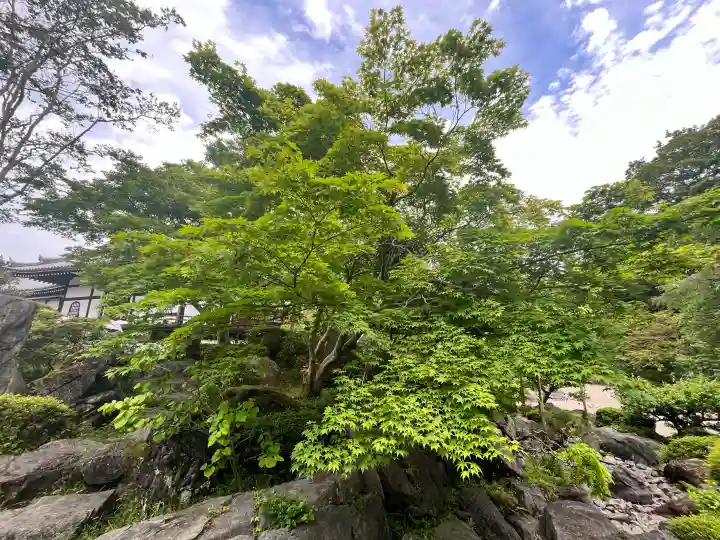 當麻寺奥院の{uncategorized: "未分類", other: "その他", undefined: "問題あり", building: "その他建物", grave: "お墓", sacred_gate: "鳥居", guardian: "狛犬", statue: "像", buddha: "仏像", history: "歴史", nature: "自然", garden: "庭園", animal: "動物", pagoda: "塔", temizu: "手水舎", mountain_gate: "山門・神門", sanctuary: "本殿・本堂", subordinate: "末社・摂社", art: "芸術", scenery: "景色", jizo: "地蔵", ema: "絵馬", goshuin: "御朱印", omikuji: "おみくじ", items: "授与品その他", amulet: "お守り", goshuincho: "御朱印帳", eats: "食事", festival: "お祭り", votive_dance: "神楽", shichigosan: "七五三参", wedding: "結婚式", experience: "体験その他", initially: "初詣", around: "周辺", anti_infection: "感染症対策"}
