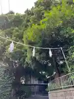 日吉神社(神奈川県)