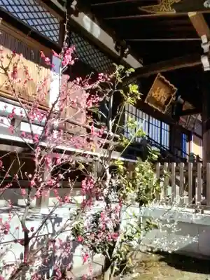 福蔵院(東京都)