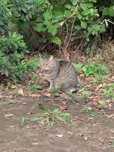 白幡八幡神社(神奈川県)