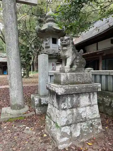 中村八幡宮の狛犬