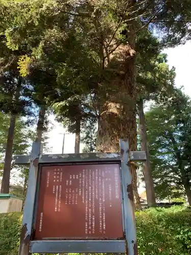 大宮神社の歴史