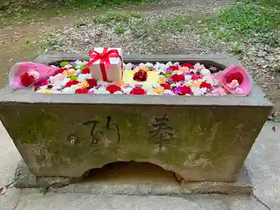 前玉神社(埼玉県)