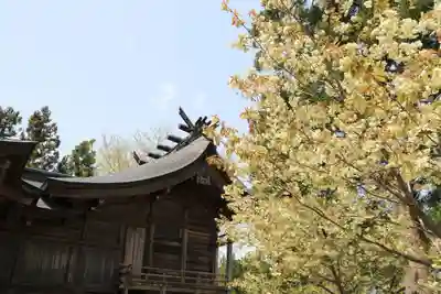 諏訪神社の本殿・本堂