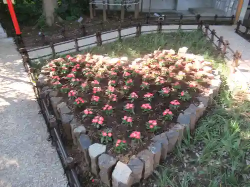 川越八幡宮の庭園