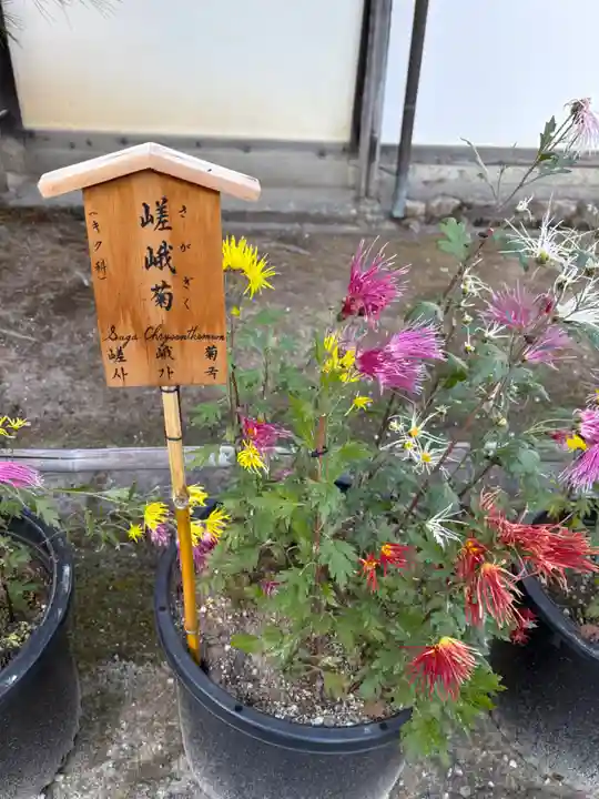 天龍寺(京都府)