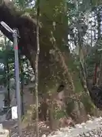 豊浦神社(三重県)