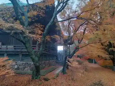 施福寺(大阪府)