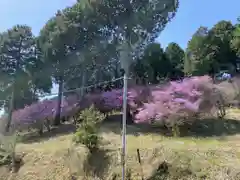 富士神社の自然