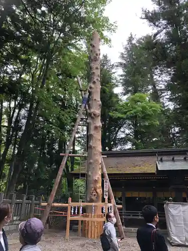 諏訪大社下社春宮の自然