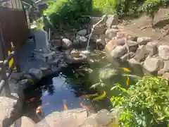 大野神社の動物