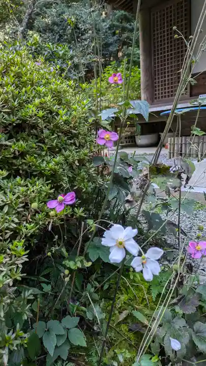 岩船寺(京都府)