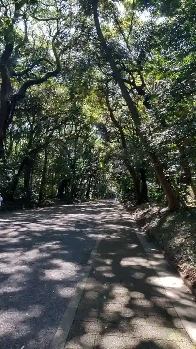 明治神宮の自然