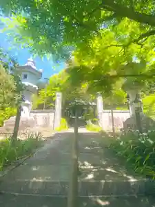 普濟寺の自然(2021年04月30日(金) 10時55分44秒投稿)