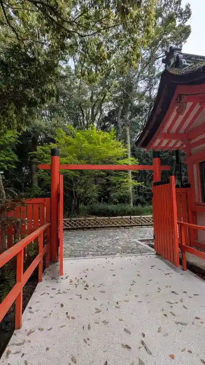 賀茂御祖神社(下鴨神社)の鳥居