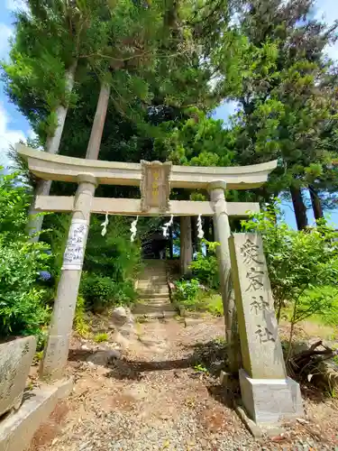 隠津島神社の鳥居