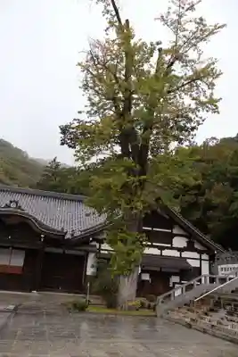 最上稲荷山妙教寺(岡山県)