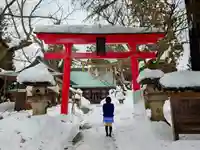 蠶養國神社の鳥居