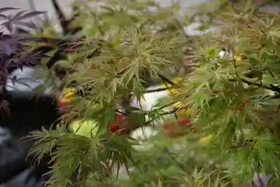 東海市熊野神社の手水舎