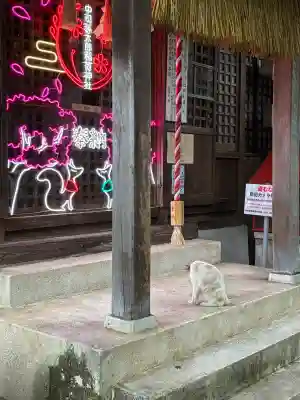 中司孫太郎稲荷神社(福岡県)