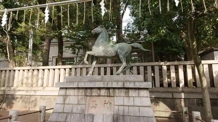 富岡八幡宮の狛犬