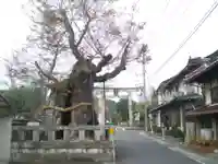 中山神社のその他建物