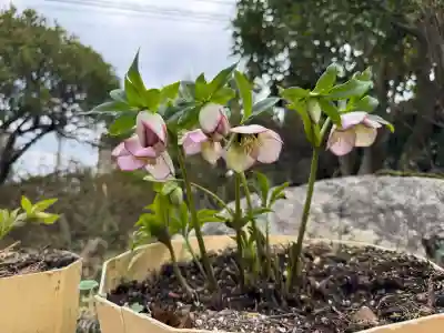 豊景神社の{uncategorized: "未分類", other: "その他", undefined: "問題あり", building: "その他建物", grave: "お墓", sacred_gate: "鳥居", guardian: "狛犬", statue: "像", buddha: "仏像", history: "歴史", nature: "自然", garden: "庭園", animal: "動物", pagoda: "塔", temizu: "手水舎", mountain_gate: "山門・神門", sanctuary: "本殿・本堂", subordinate: "末社・摂社", art: "芸術", scenery: "景色", jizo: "地蔵", ema: "絵馬", goshuin: "御朱印", omikuji: "おみくじ", items: "授与品その他", amulet: "お守り", goshuincho: "御朱印帳", eats: "食事", festival: "お祭り", votive_dance: "神楽", shichigosan: "七五三参", wedding: "結婚式", experience: "体験その他", initially: "初詣", around: "周辺", anti_infection: "感染症対策"}