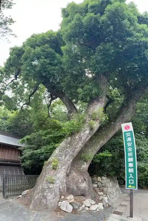 砥鹿神社(里宮)(愛知県)