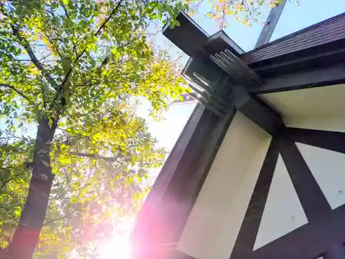 紀左衛門神社の本殿