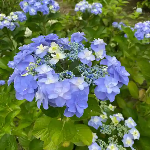 大宝八幡宮(茨城県)