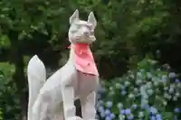 高屋敷稲荷神社の狛犬