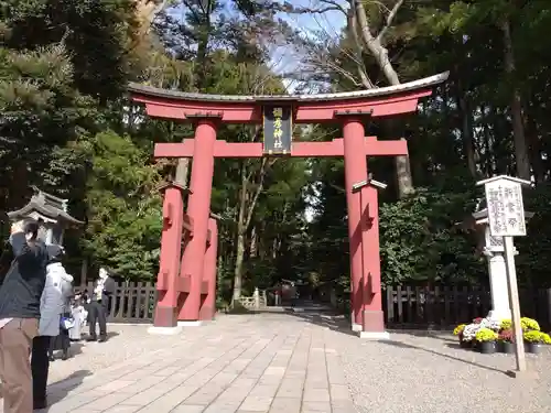 彌彦神社(新潟県)