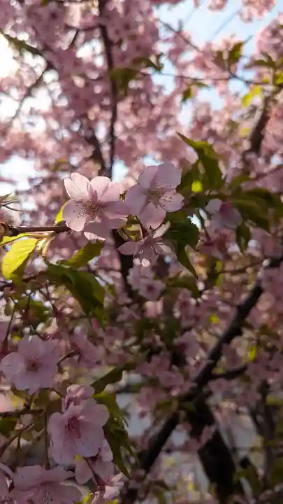 後白河院御聖蹟 法住寺(京都府)