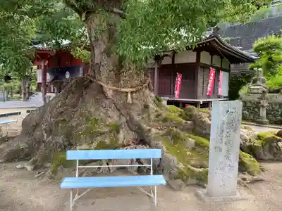 神恵院(香川県)