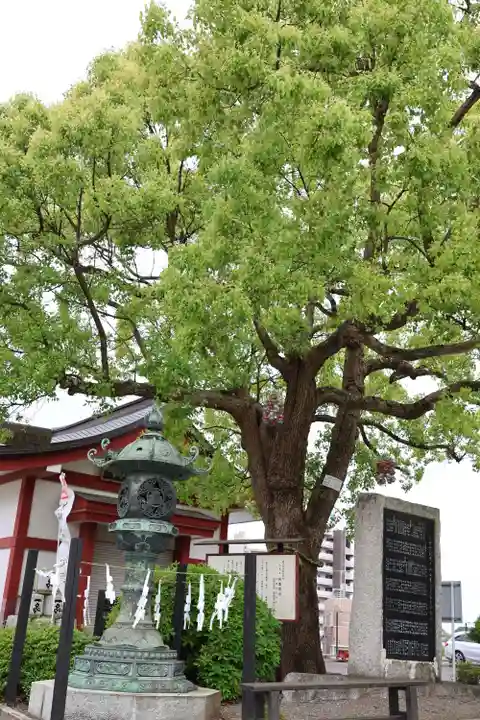 水戸東照宮(茨城県)