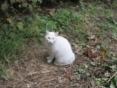 久國神社(東京都)