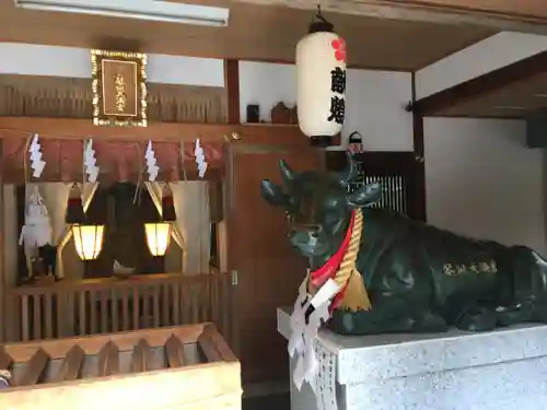 琴似神社の狛犬