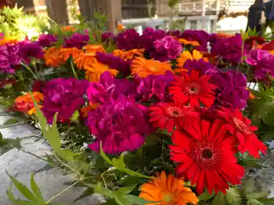 宮地嶽神社の手水舎