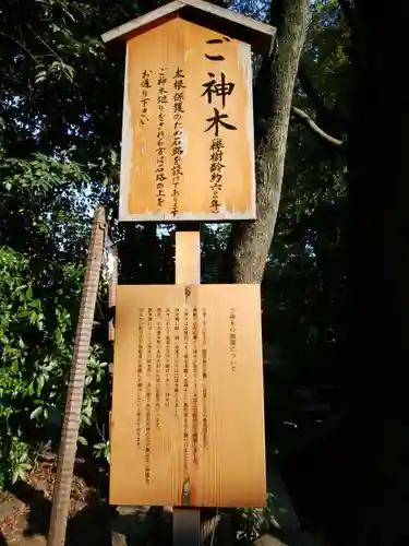 川越氷川神社の歴史