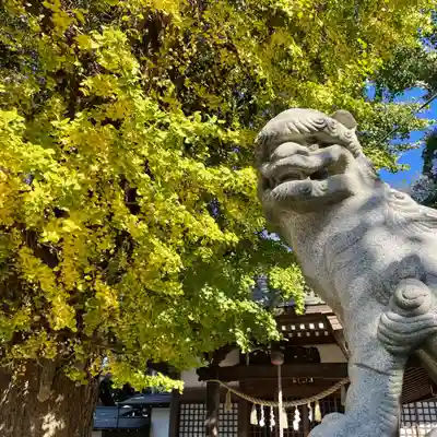 印内八坂神社の狛犬