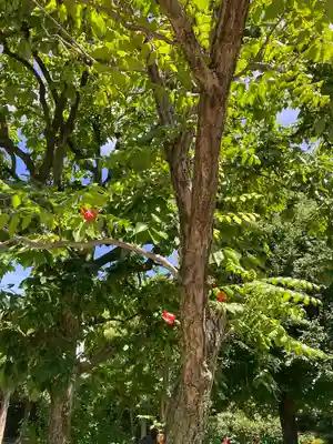 大安寺(奈良県)