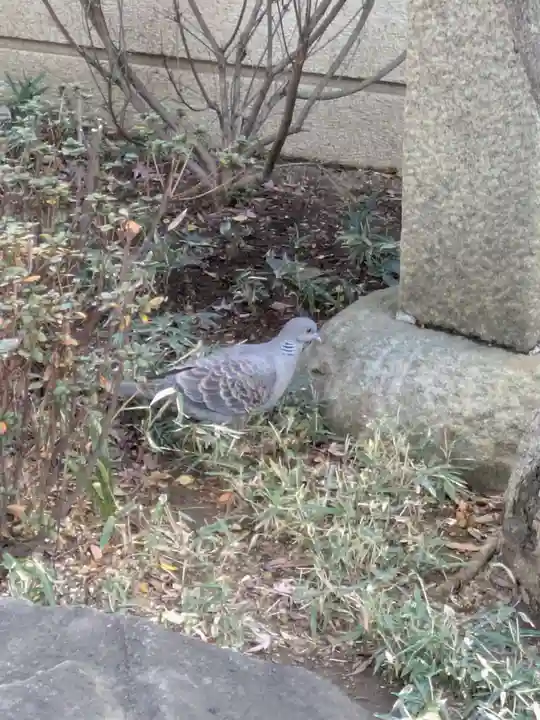 源長寺(東京都)