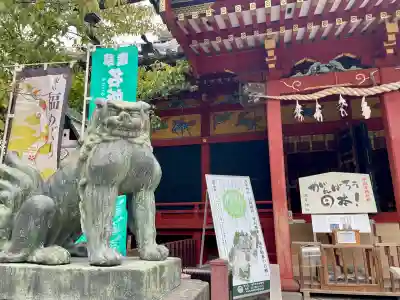 浅草神社の狛犬