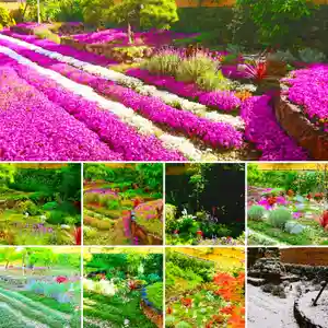 寿量山 速成寺の自然(2021年07月05日(月) 18時56分47秒投稿)