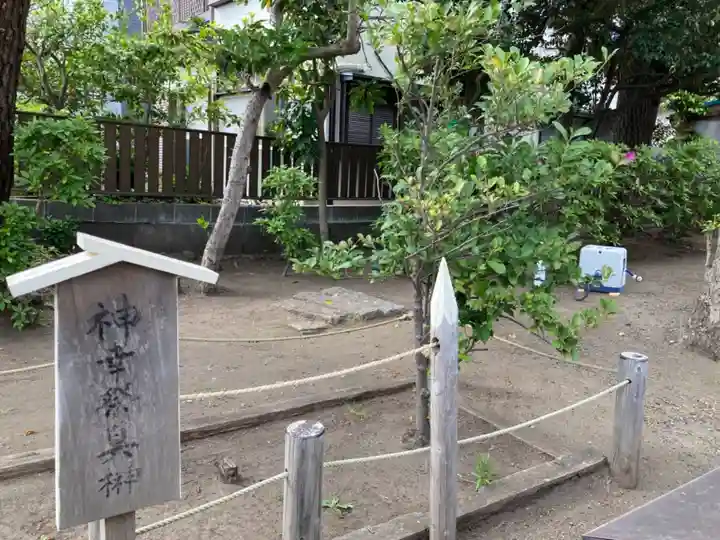 片瀬諏訪神社の自然