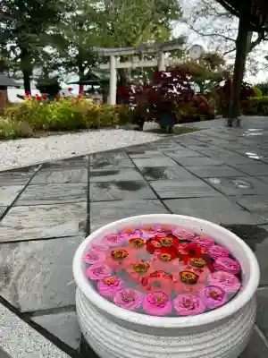 立志神社(滋賀県)